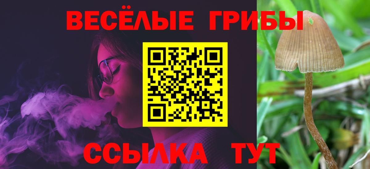 Евпатория  Галлюциногенные грибы MAGIC MUSHROOMS  Псилоцибиновые грибы мицелий  Вход с VPN 